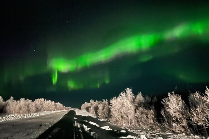 Northern Light hunt with minibus to Abisko 7:30 pm - Abisko National Park road stops: Lapporten and the canyon hunt