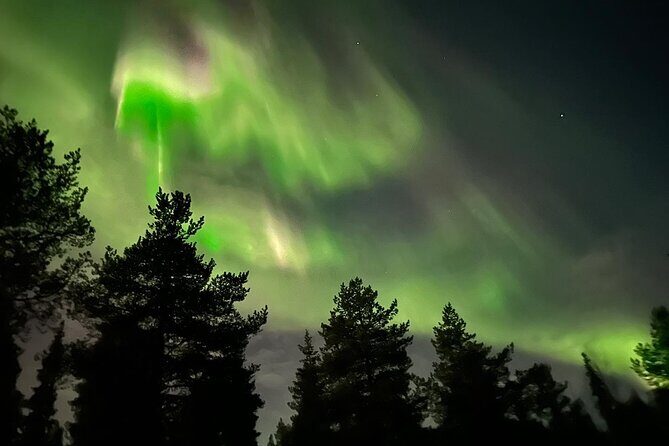 Northern Light hunt with minibus to Abisko 7:30 pm - Price and value: is $253 worth it?