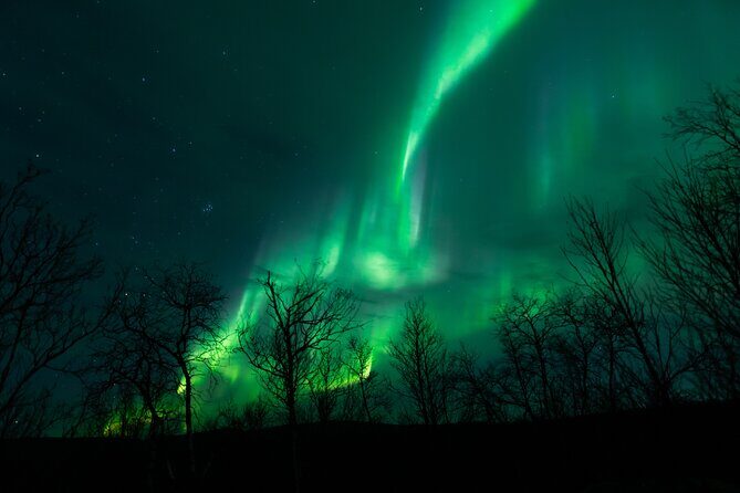 Northern Lights Tour from Kiruna to Abisko with Dinner - Key things to know before you go