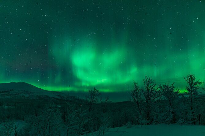 Northern Lights Tour from Kiruna to Abisko with Dinner - Kiruna–Abisko: why this route works when the lights are shy