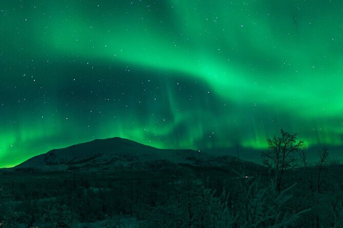 Northern Lights Tour from Kiruna to Abisko with Dinner - Abisko National Park viewing: weather hunting beats hoping