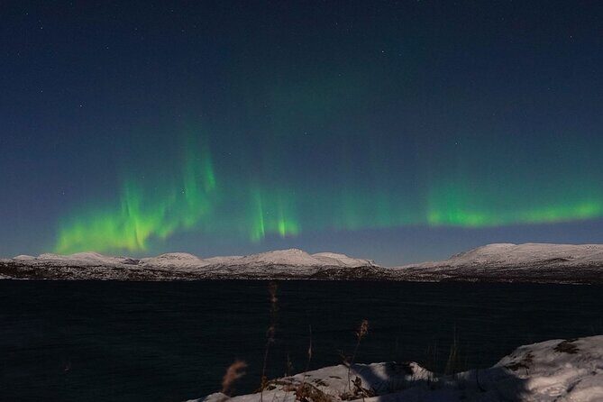 Northern Lights Tour from Kiruna to Abisko with Dinner - What the guides do (and why it matters): reading the sky