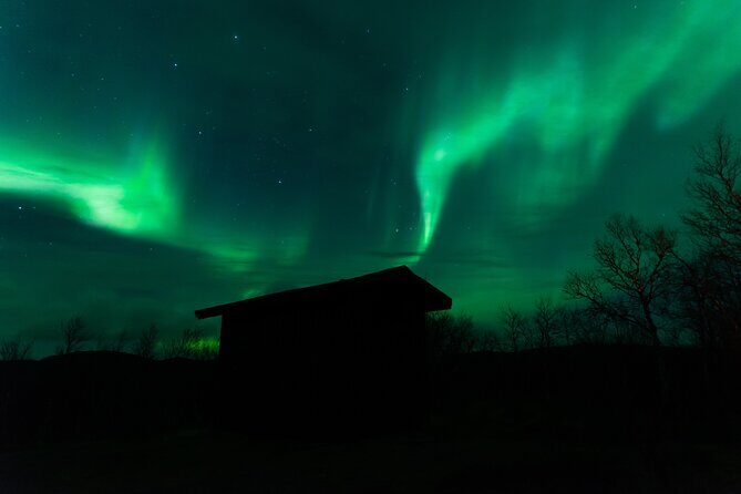 Northern Lights Tour from Kiruna to Abisko with Dinner - Photos and camera help: how to reduce blurry aurora shots