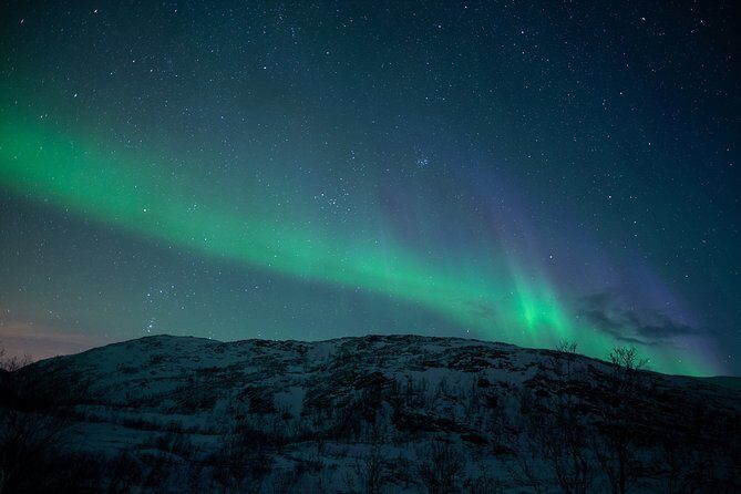 Northern Lights Tour from Kiruna to Abisko with Dinner - Small group size: what “max 12” changes for your night