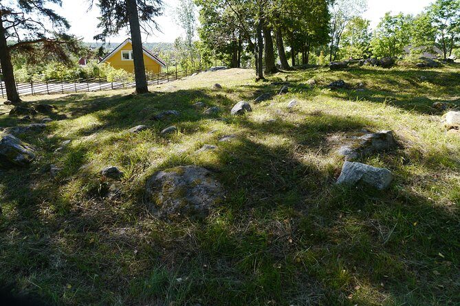 Private Full Day Viking History Tour from Stockholm Including Sigtuna and Uppsala - Gamla Uppsala and the Fika Stop That Keeps You Grounded
