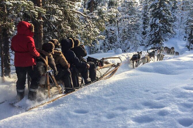 Sit Down Husky Ride Dog Sled Tour in Kiruna - Key highlights at a glance