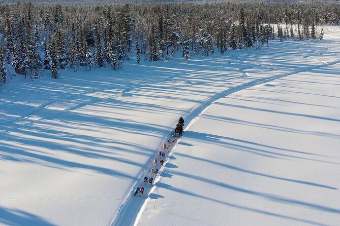 Sit Down Husky Ride Dog Sled Tour in Kiruna - Who this tour fits best (and who should skip it)