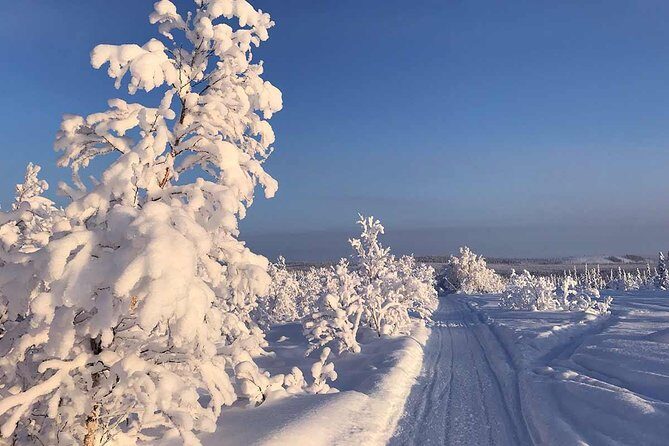 Snowmobile Arctic Adventure - The 20-minute forest drive and your snowmobile coaching