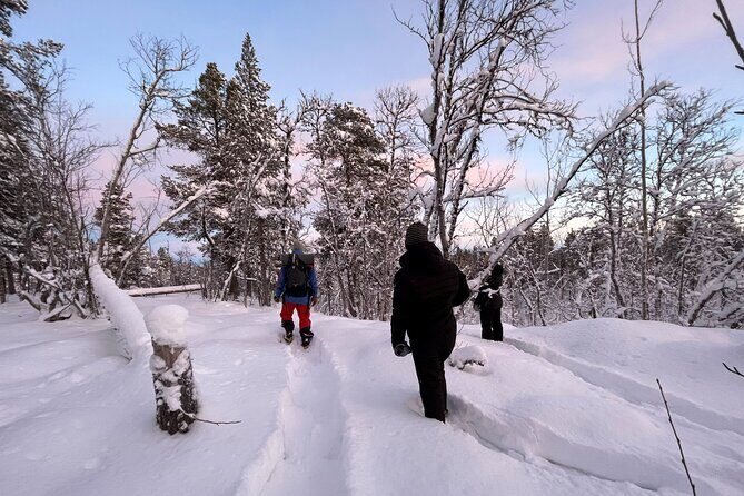 Snowshoe in a Winter Forest - Key highlights at a glance