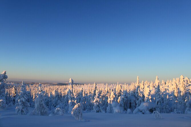 Snowshoe in a Winter Forest - Equipment and Clothing: The One Thing You Must Bring