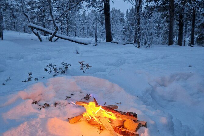 Snowshoe in a Winter Forest - The Campfire Break: Berry Juice and Kangoskaka