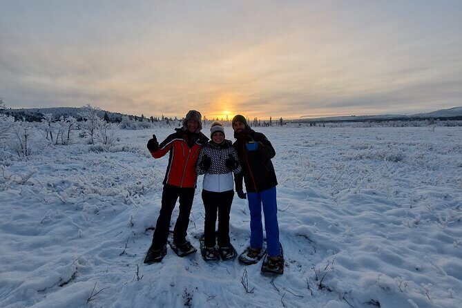 Snowshoe in a Winter Forest - Kiruna Stories: Sami Culture and Mining Along the Way