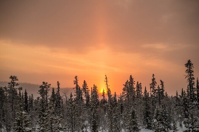Snowshoe Winter Hike from Stockholm - Campfire lunch and Swedish fika: the warm pause that makes it stick