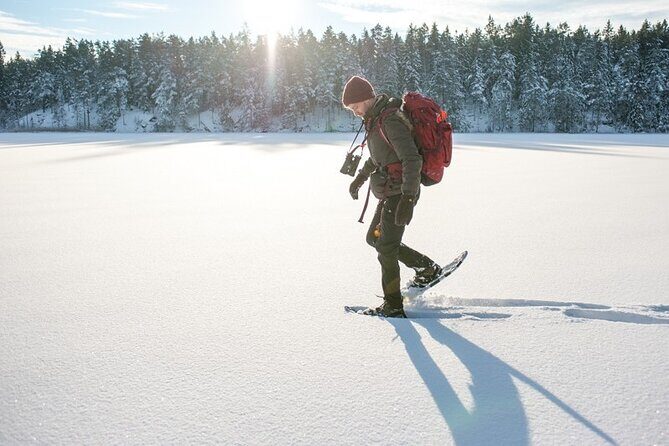 Snowshoe Winter Hike from Stockholm - The return to base: why a small-group day ends feeling lighter