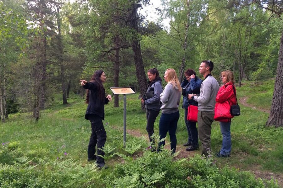 Stockholm: Evening Wildlife Safari with Midsummer Meal - Who should book this safari?