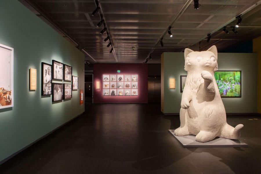 Stockholm: Fotografiska Museum Entrance Ticket - FAQ