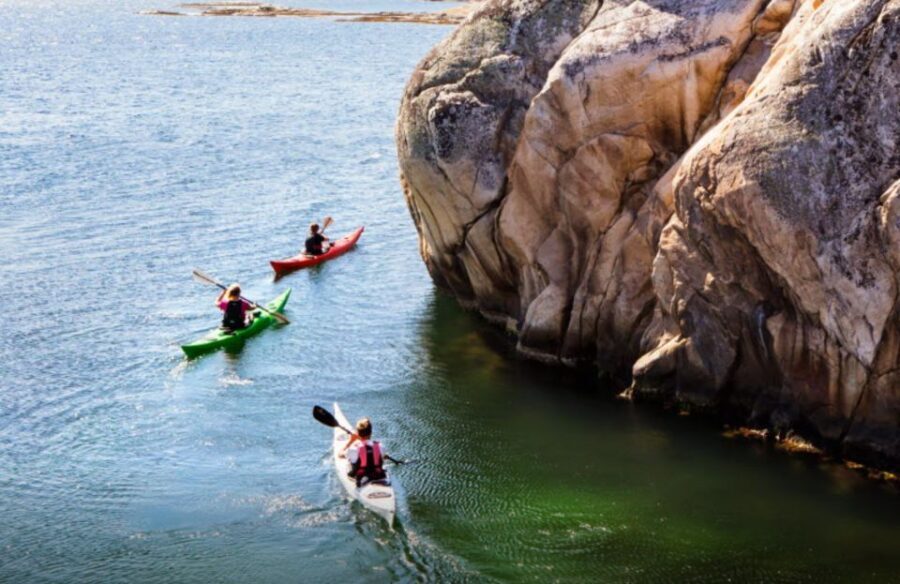 Stockholm: Full-Day Archipelago Kayaking Adventure - Paddling rugged islands, bird life, and a refreshing Baltic Sea dip
