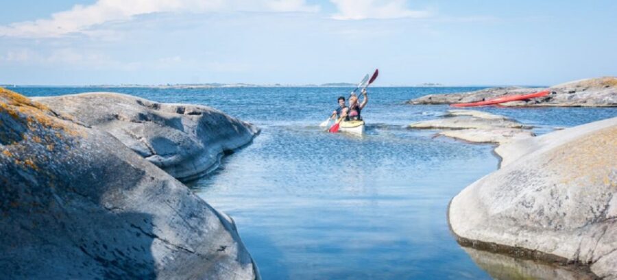 Stockholm: Full-Day Archipelago Kayaking Adventure - Wildlife spotting: white-tailed eagles and seals (when luck meets skill)