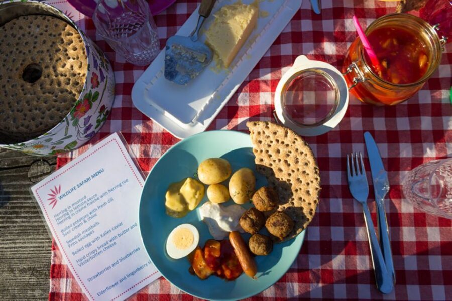 Stockholm: Guided Kayak City Tour & Optional Midsummer Meal - The Small Details That Affect Your Day