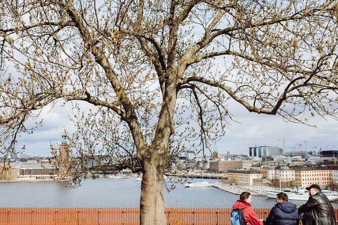 Stockholm Hidden Gem Tours by Locals: 100% Personalized & Private - Meeting Point, Hotel Pickup, and the Walking-Only Reality