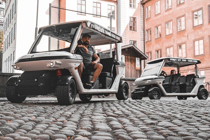 Stockholm Highlights: Private Golf Cart Tour - Monteliusvägen viewpoint and Fjällgatan street art in 10 minutes flat