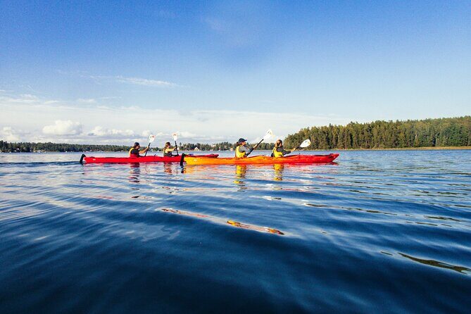 Stockholm: Kayaking tour around Vaxholm Archipelago with Fika - Stockholm Kayaking in the Vaxholm Archipelago: Why This One Feels Different
