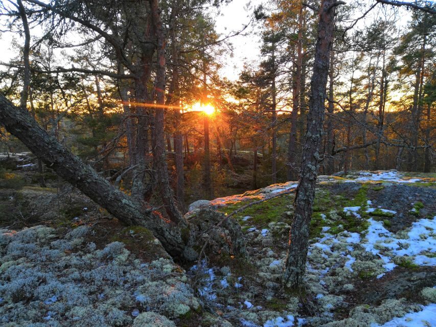 Stockholm: Nature Hike with Campfire Lunch - Who Should Book This Tour—and Who Might Skip It
