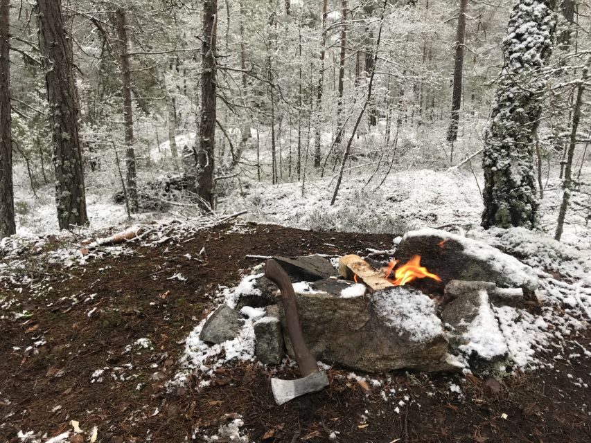 Stockholm: Nature Hike with Campfire Lunch - Winter Timing, Torch Lamps, and Why the Afternoon Changes the Hike
