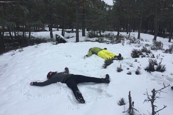 Stockholm: Nature Reserve Hiking Tour with Campfire Lunch - Key Highlights Worth Planning For