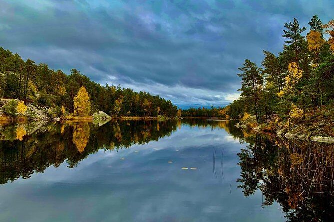 Stockholm: Nature Reserve Hiking Tour with Campfire Lunch - What You’ll See: Forest, Lakes, Granite Views, and Winter Ice