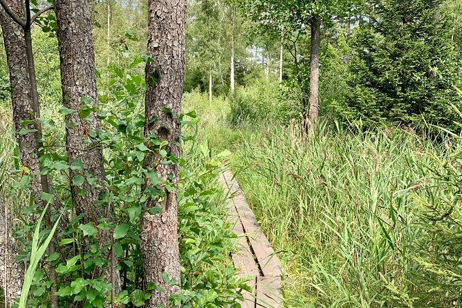 Stockholm: Nature Reserve Hiking Tour with Campfire Lunch - Who This Tour Fits Best (and Who Should Skip It)