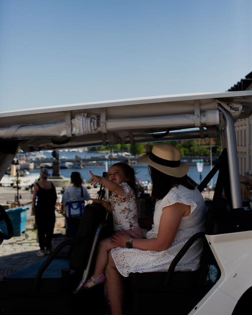 Stockholm Private Golf Cart Tours - Should you book Stockholm Private Golf Cart Tours?