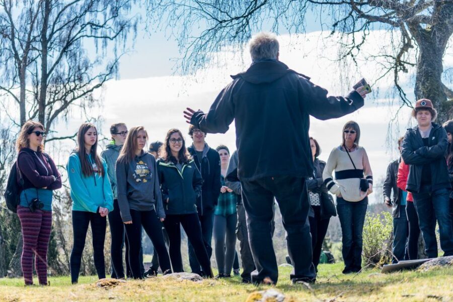 Stockholm: Sigtuna and Uppsala Viking History Day Tour - Uppsala Cathedral, University Grounds, and Gamla Uppsala Mounds