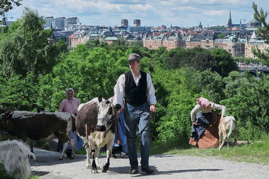 Stockholm: Skansen Open-Air Museum Admission Ticket - The Historic Houses: How Skansen Teaches Swedish Life (Without Lectures)