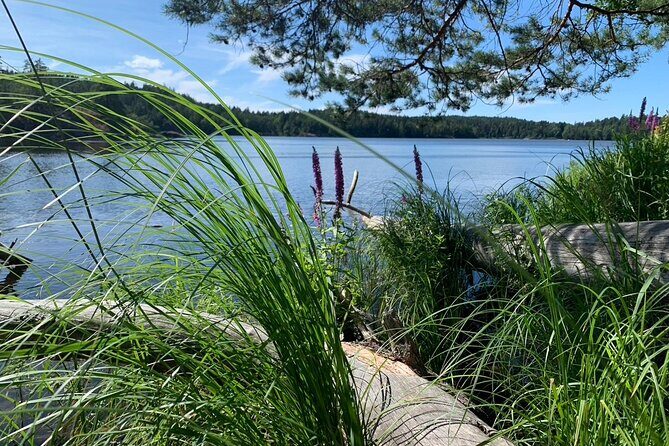 Stockholm: Sunset Hike in Tyresta National Park with Meal - Getting there from Gullmarsplan with zero stress