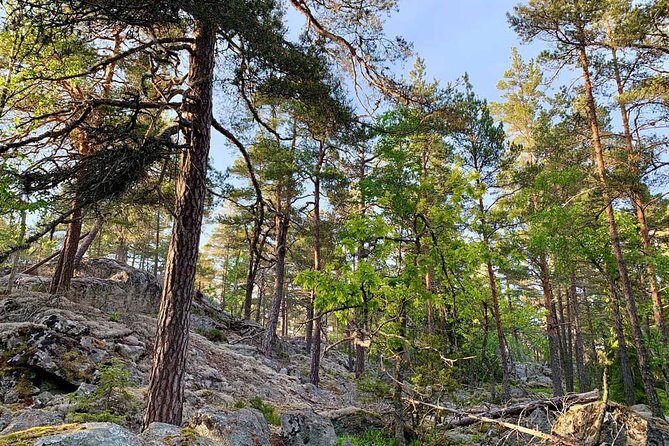 Stockholm: Sunset Hike in Tyresta National Park with Meal - Food on the trail: fika plus a real Swedish meal