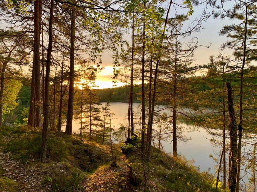 Stockholm: Sunset Hike in Tyresta National Park with Meal - Price and value: why $144 can make sense for a Stockholm-to-park evening