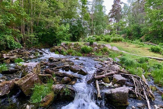 Stockholm: Sunset Hike in Tyresta National Park with Meal - Getting there from Gullmarsplan: simple start, real change of scenery