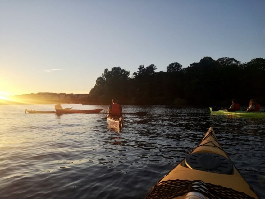 Stockholm: Sunset Kayak Tour in the City + Swedish Fika - Who should book this sunset kayak with fika