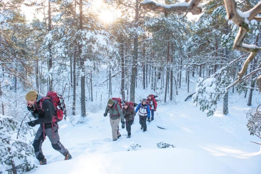 Stockholm: Winter Snowshoe Full-Day Hike - Why This Tour Works So Well