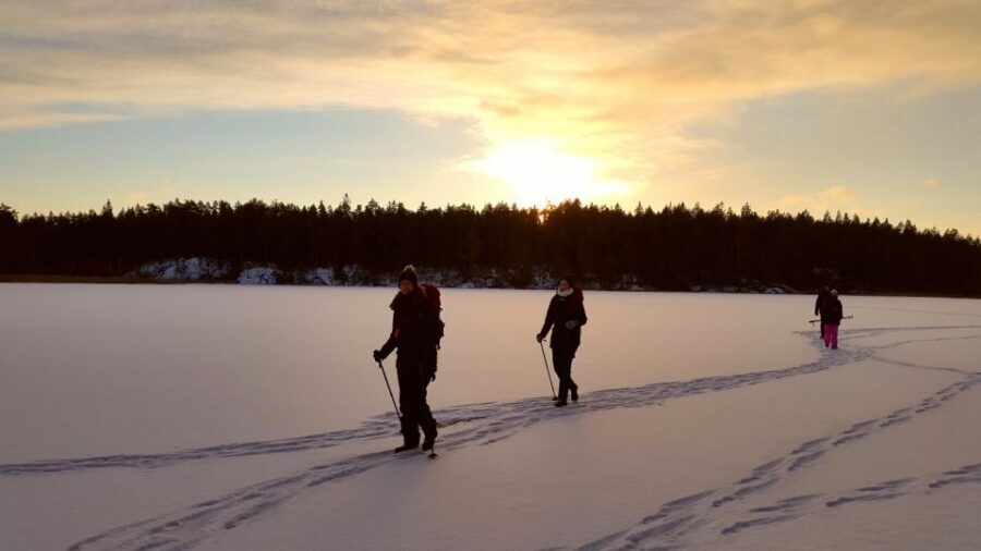 Stockholm: Winter Snowshoe Full-Day Hike - Winter Wonderland Minutes From the City