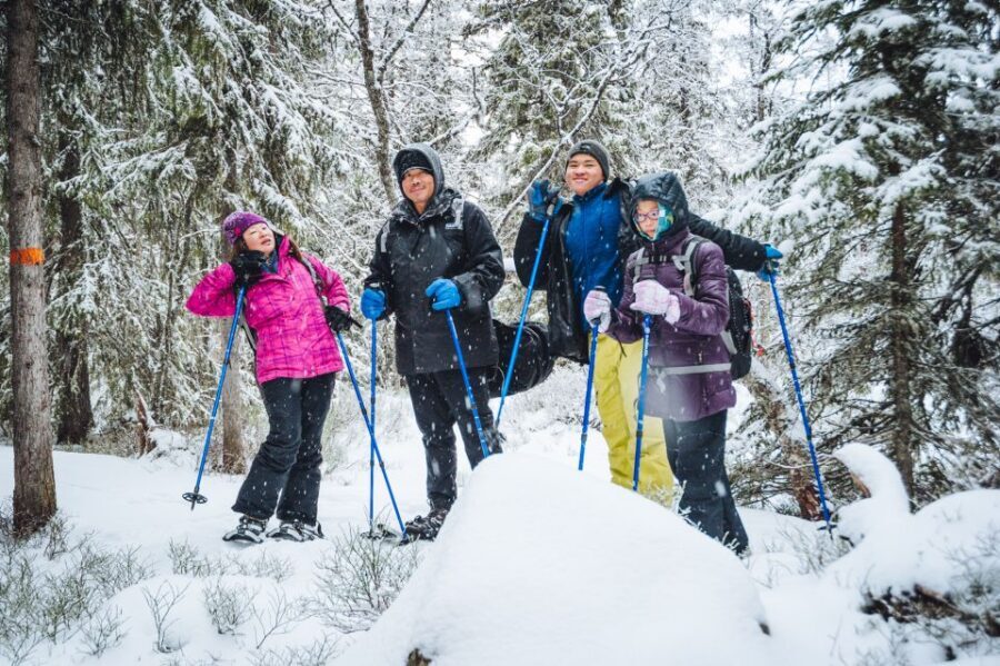Stockholm: Winter Snowshoe Full-Day Hike - The Minivan Transfer: Where the Day Gets Tailored