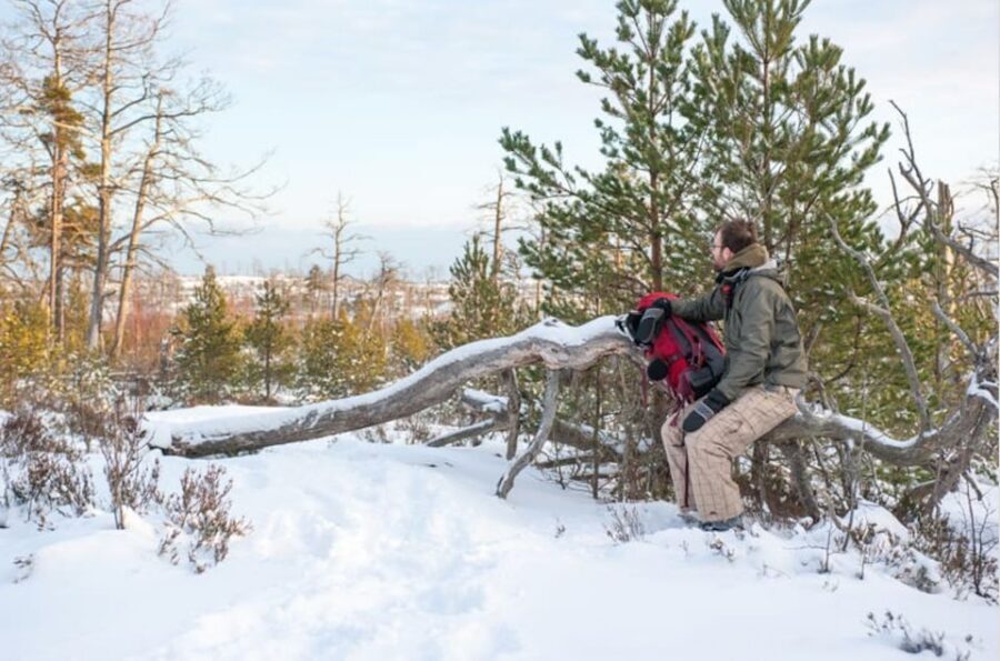 Stockholm: Winter Snowshoe Full-Day Hike - Snowshoes vs Ice Grips: What Happens When Snow Is Light