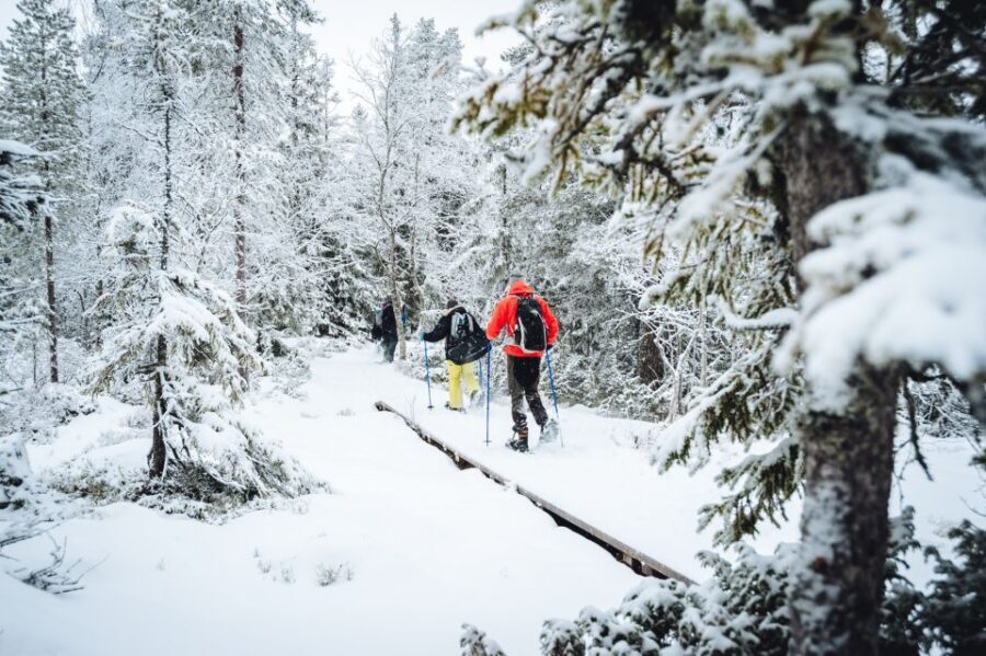 Stockholm: Winter Snowshoe Full-Day Hike - Hitting the Forest Trails and Frozen Lakes
