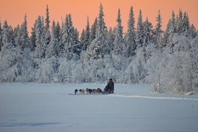 Sunrise Zen Husky Tour (10:00 to 13:00 - sitting on the sled) - The Sled Ride: Sitting Back, Watching the Power, and Staying Photo-Smart
