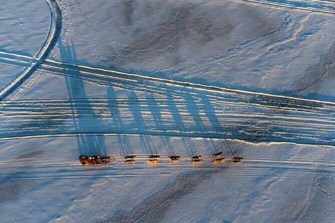 Sunrise Zen Husky Tour (10:00 to 13:00 - sitting on the sled) - Guides and Dog People: Friendly, Funny, and Focused on Safety