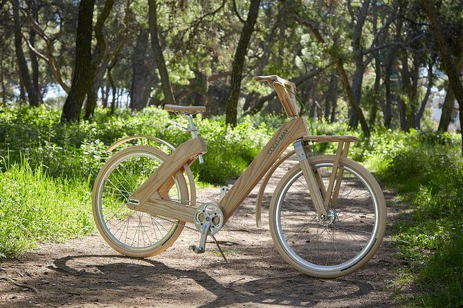 The Wooden Bicycle Tour in Stockholm - A Guided Ride Through Stockholm’s Main Sights in 2 Hours