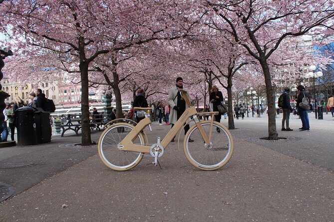 The Wooden Bicycle Tour in Stockholm - Price and Value: Is $58.08 Worth It?