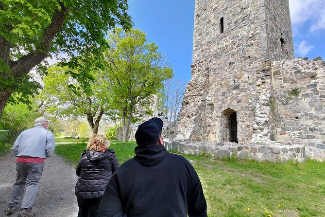 Viking History, Runes & Countryside 9h Tour to Sigtuna & Uppsala - Price and value: what $298.53 buys you in practice