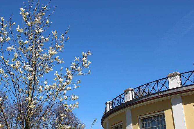 Walk Malmö with an audio guide - Getting the Audio Guide Right: The One Step That Matters